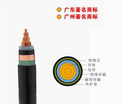 珠江電纜0.6/1KV電力電纜